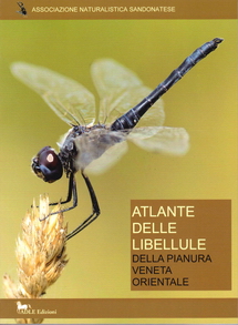 Atlante delle Libellule della Pianura Veneta Orientale Atlante delle Libellule della Pianura Veneta Orientale, Maurizio Dalla Via, Michele Zanetti, ANS
