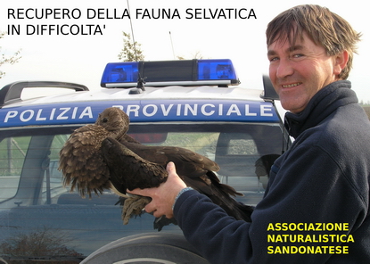 Recupero Fauna Selvatica immagine