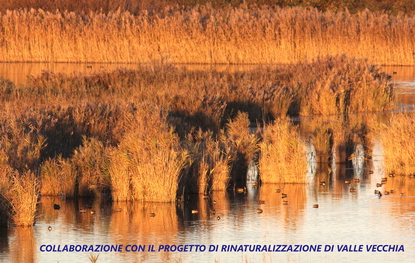 Riqualificazione ambientale di valle vecchia immagine