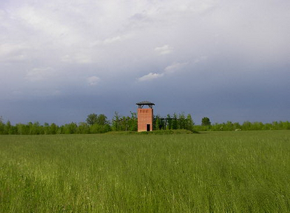 Bosco Bandiziol di S. Stino di Livenza immagine