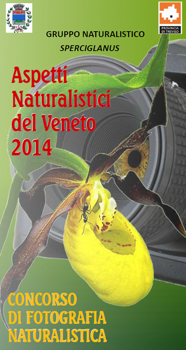 locandina concorso