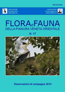 flora e fauna della pianura veneta orientale Boschi pinete parchi siepi, Michele Zanetti