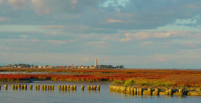 Parco regionale della Laguna Nord di Venezia immagine