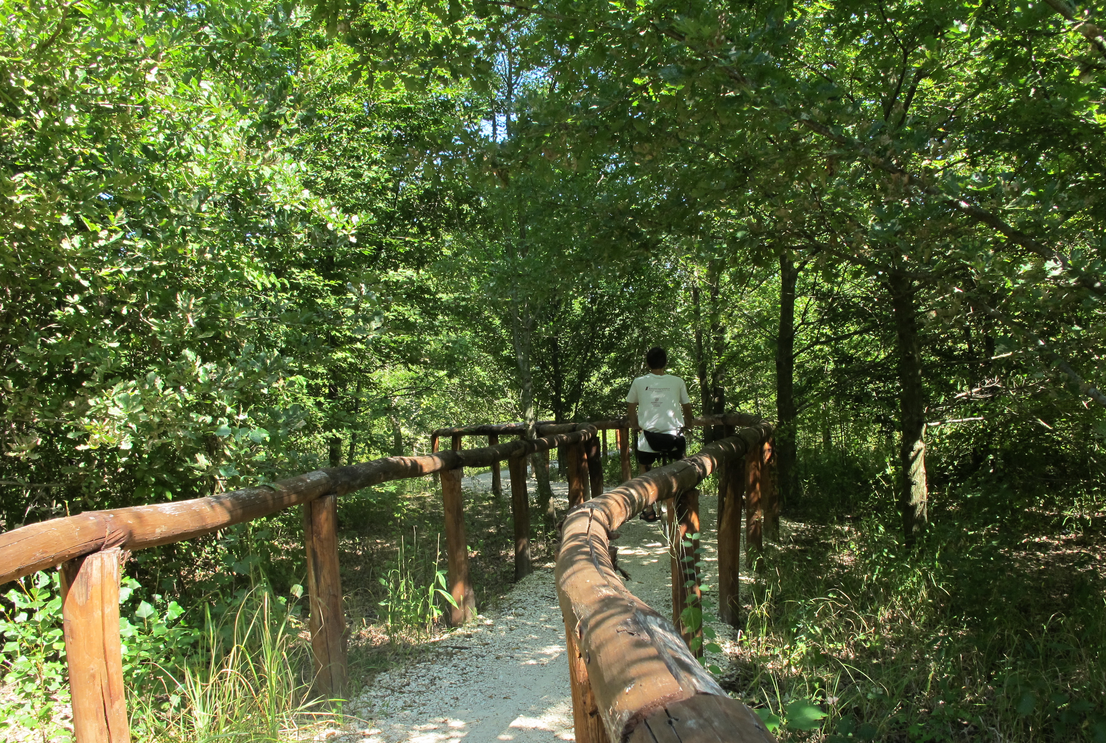 Bosco Bandiziol, S. Stino di Livenza locandina Bosco Bandiziol