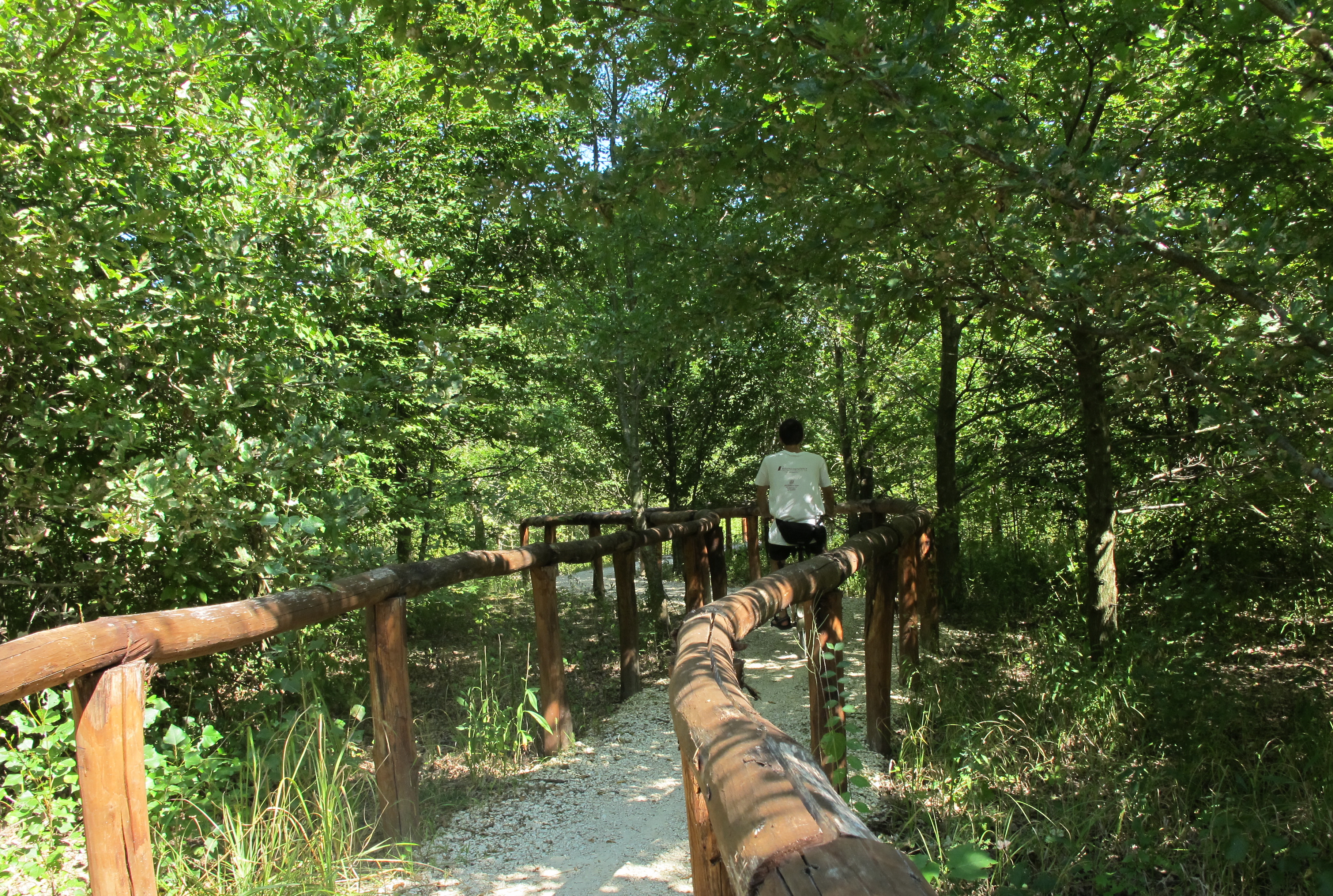 locandina Bosco Bandiziol