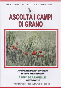 Ascolta i campi di grano locandina DVD