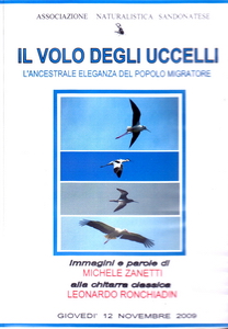Il volo degli uccelli, l’ancestrale eleganza del popolo migratore locandina DVD