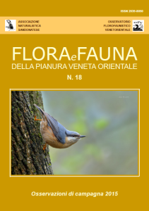 flora-e-fauna-della-pianura-veneta-orientale-n-18-anno-2016 flora-e-fauna-della-pianura-veneta-orientale-n-18-anno-2016