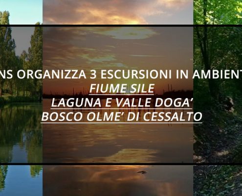 ANS-3-ESCURSIONI-IN-AMBIENTE-FIUME-SILE-BOSCO-OLME-VALLE-DOGA