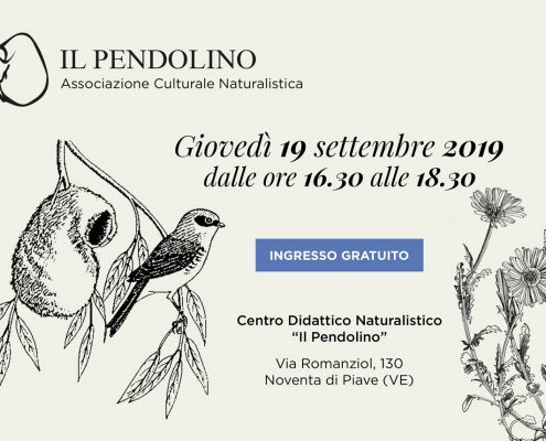 locandina-evento-open_day-pendolino-2019
