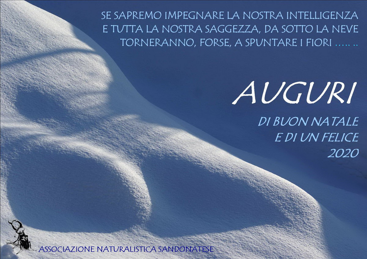 AUGURI-di buon-natale-e felice-anno-nuovo-michele-zanetti