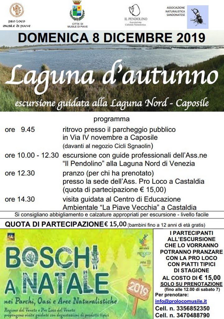 ESCURSIONE-BOSCHI-A-NATALE-2019-ANS
