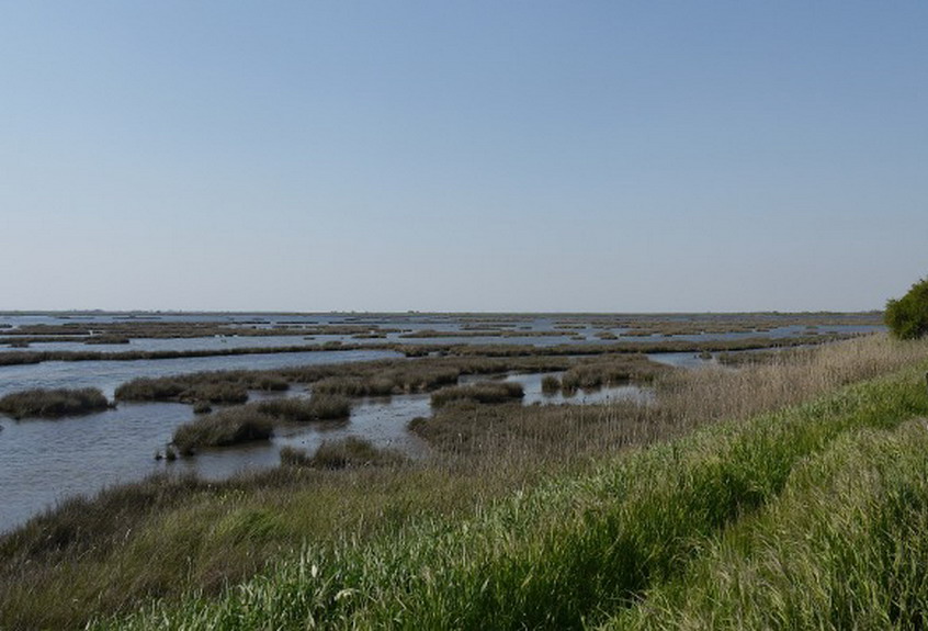 escursione-laguna-nord-caposile