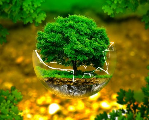 pesticidi-difesa-dell-ambiente-associazione-naturalistica1